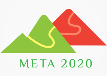 Meta 2020