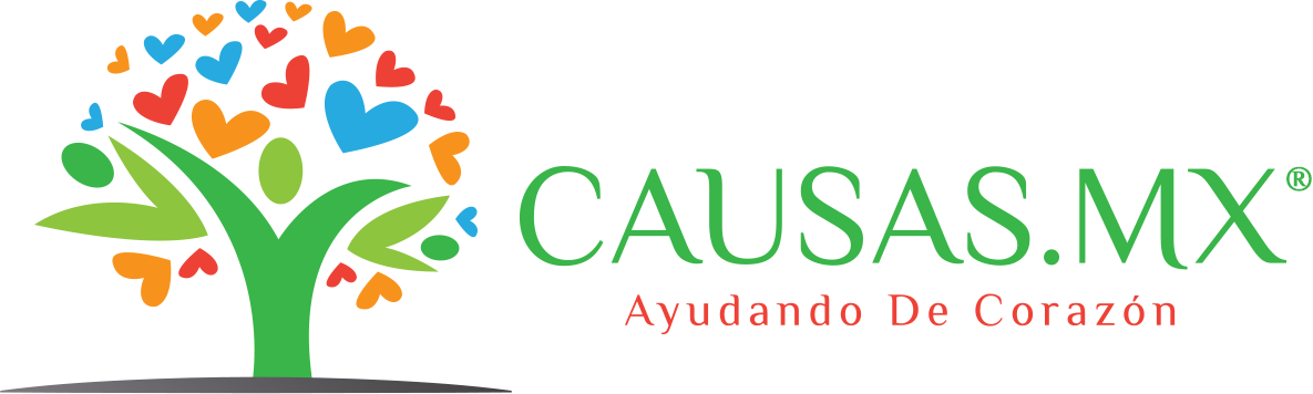 Causas.MX